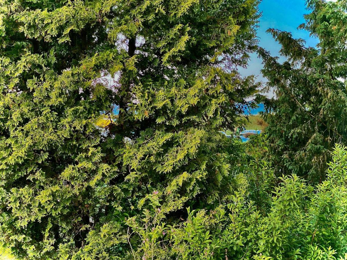Casa Raphael Direkt Am Scharbeutzer Strand 外观 照片